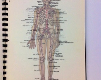 human anatomy sketch book
