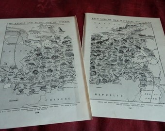 1930s SIBERIA PLANTS ANIMALS map