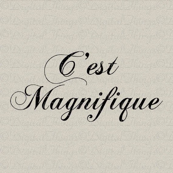 french-script-c-est-magnifique-french-decor-wall-decor-art