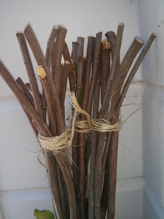 6 rowan woodrowan sticks craft wood rowan by Pineneedlesweetgrass