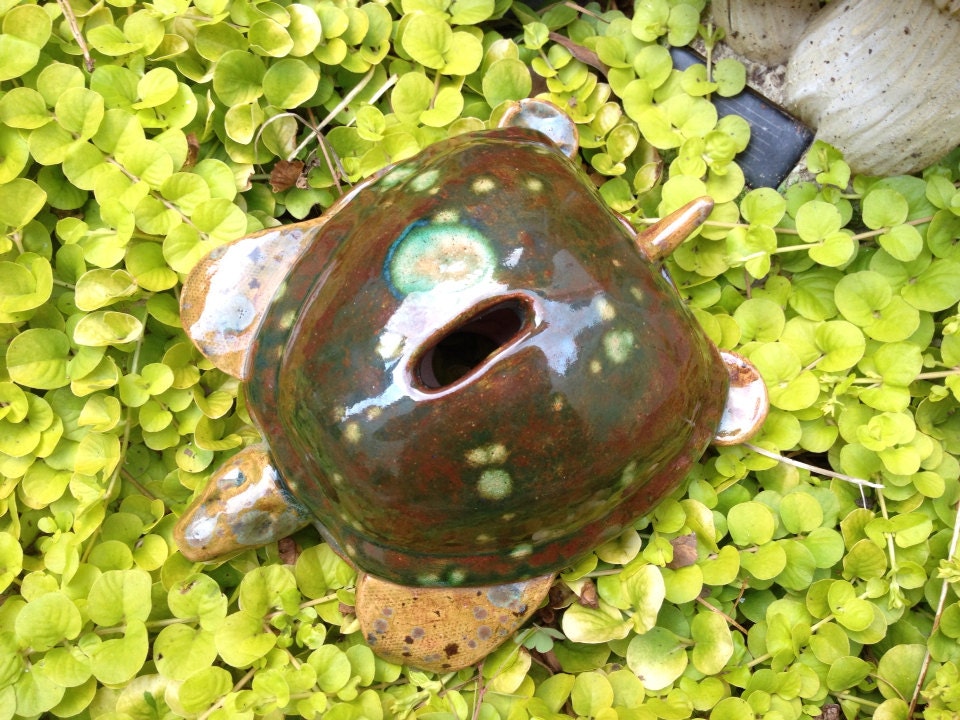 ON SALE Ceramic Turtle Coin Bank coin bank turtle bank