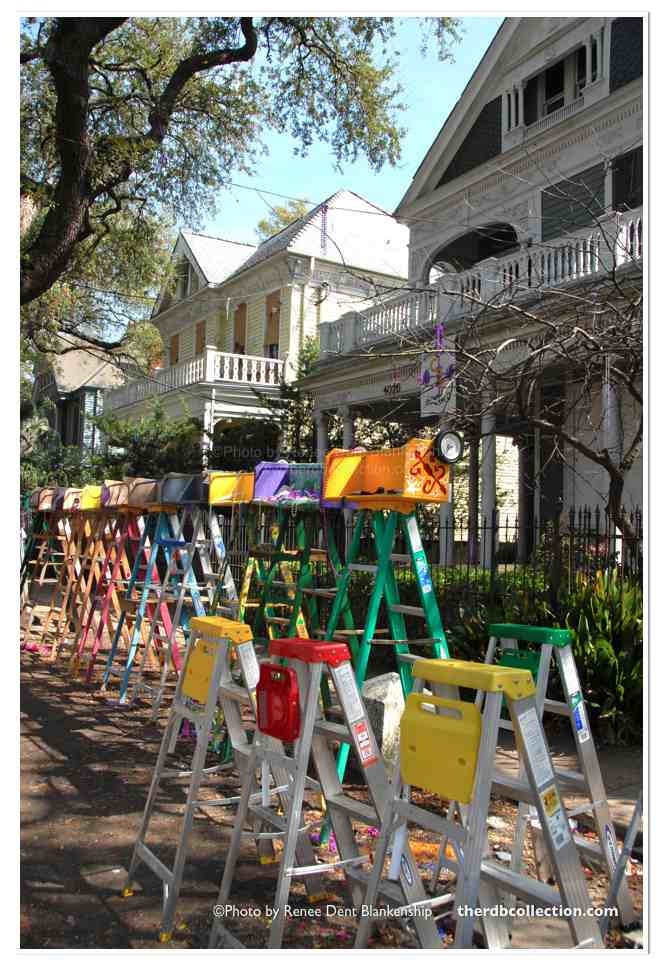 custom mardi gras ladders