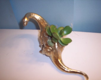 Gold Painted Dinosaur Planter Plastic Toy and Planted with Assorted Succulents Can Still Ship for Mother's Day