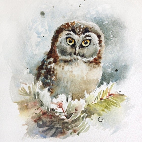 Watercolor Owl - Original Bird Painting 7 4/5 x 7 4/5 inches