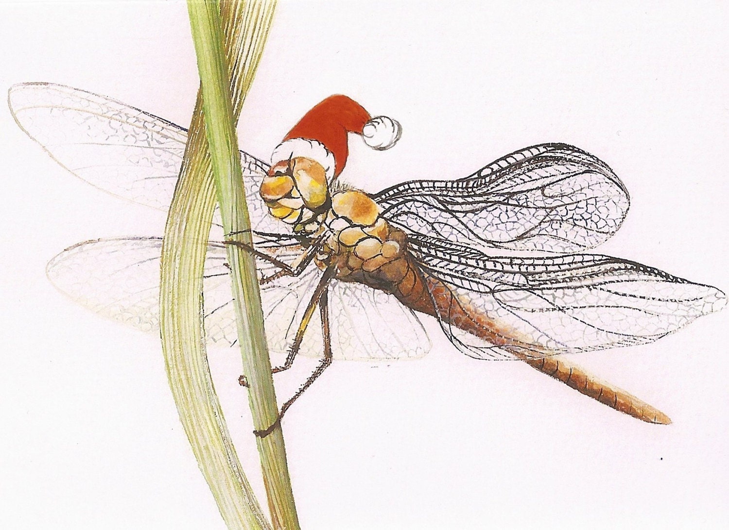 christmas-dragonfly-card-sold-out-by-artonstuff-on-etsy