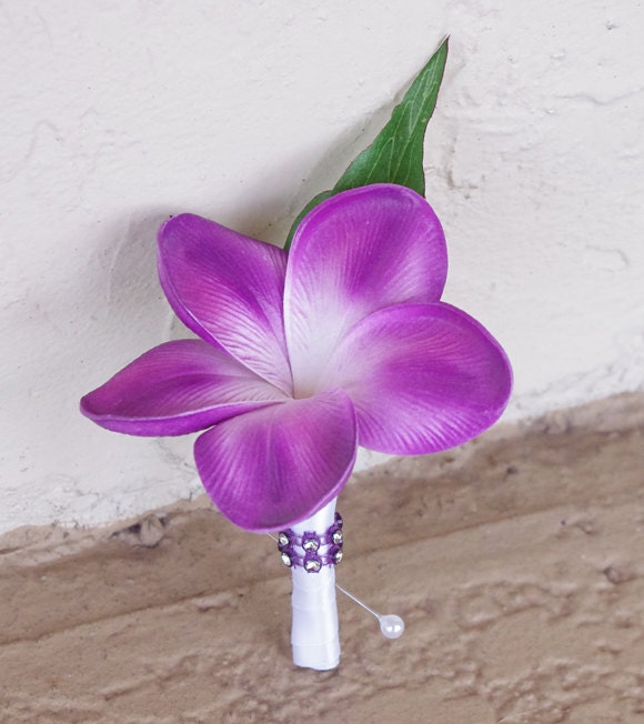 Plumeria Tropical Wedding Boutonniere Wedding Boutonnieres