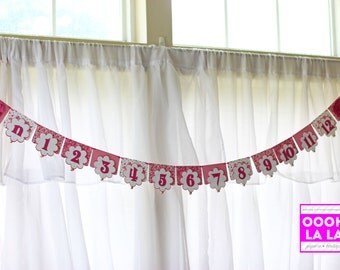 MADE TO ORDER Hot/Bright Pink First Year Photo Banner with Clips