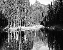 Black And White Lake Reflections Tu olumne Meadows Mountain Pine Trees ...