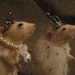 Taxidermy mouse chess set wooden board