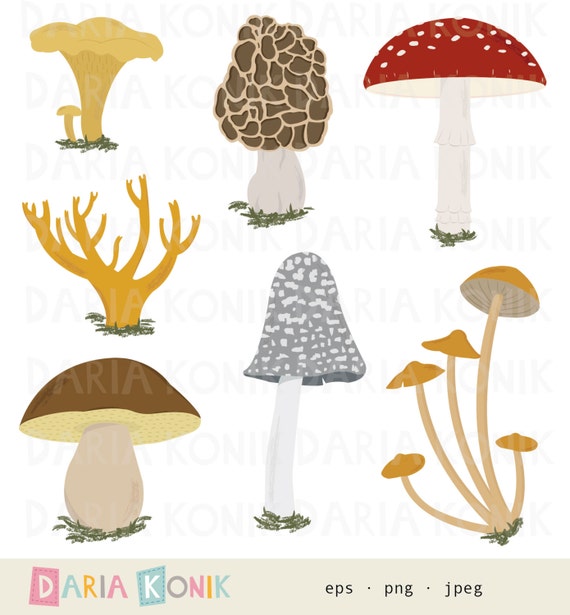morel mushroom clip art - photo #11