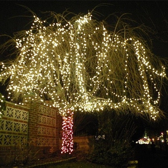 warm white 32 feet 10m 100 led string fairy lights by warm white 32 feet 10m 100 led string fairy lights by