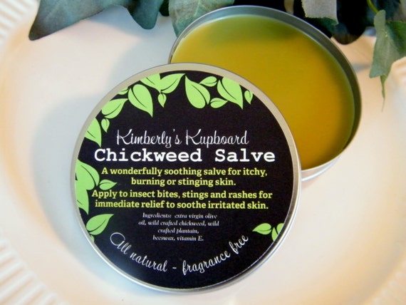 Chickweed Herbal Healing Salve for soothing anti itch relief