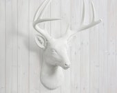 Faux Deer Head in White - Wall Charmersâ„¢ Faux Head Fake Animal Resin Ceramic Taxidermy Stag Buck Antler Mount Fauxidermy Replica Decor Art