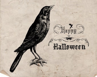 Image result for Happy Halloween crow