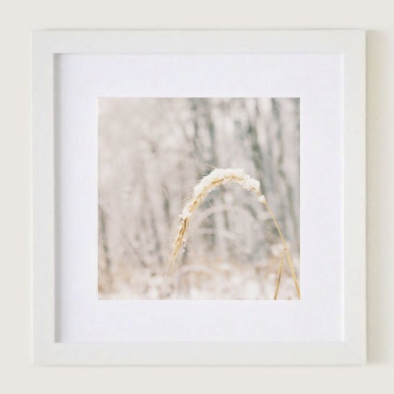 Soft Snow: Framed White 12x12