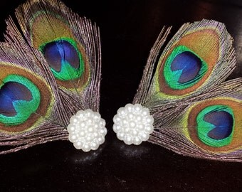 Beautiful Peacock Shoe Clip