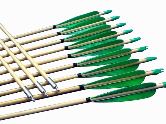A Dozen Green Archery Wooden Arrows For Sale By Archerysky On Etsy 2654