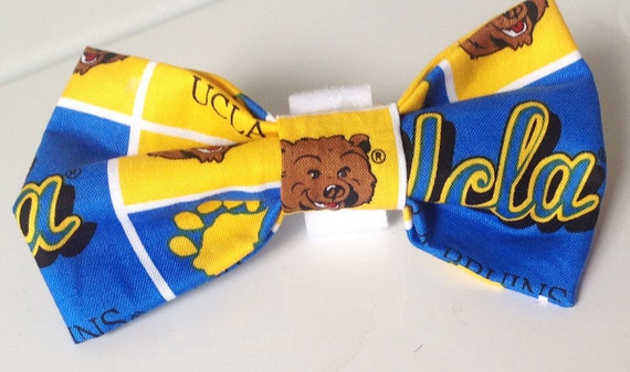 UCLA Bruins Dog Collar Bow Tie