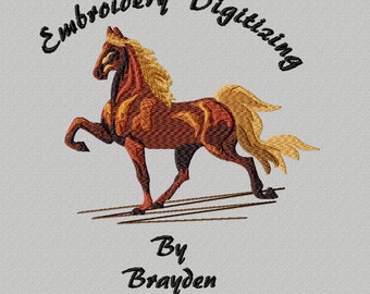 Custom Embroidery Digitizing