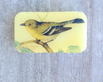 Bird Pill Box, Slider Tin, Mint Tin, Vintage bird