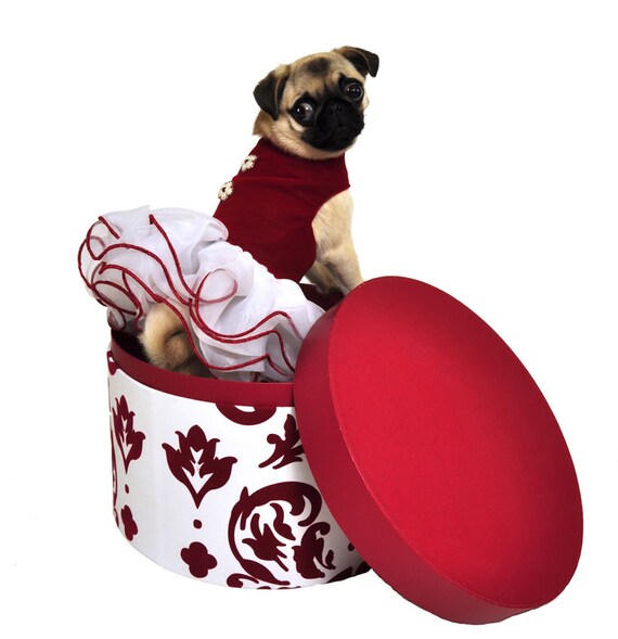 Red Velvet Dog Dress