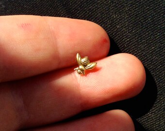 Brass Bee or not to Bee Surgical Steel Stud Earring. Perfect for Helix and Cartilage Piercings.