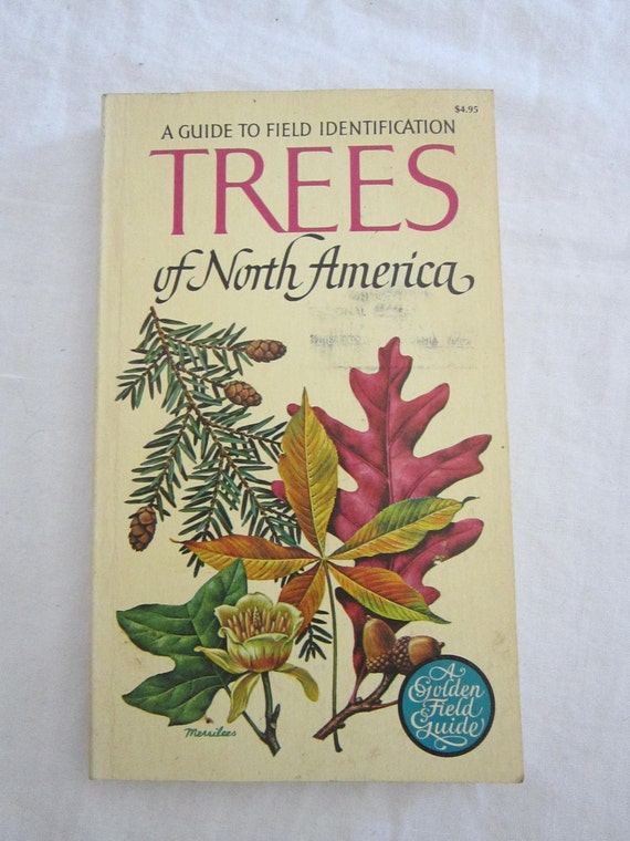 vintage book TREES of North America Golden Guide to Field