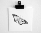 Monarch Butterfly nature pencil drawing giclee print