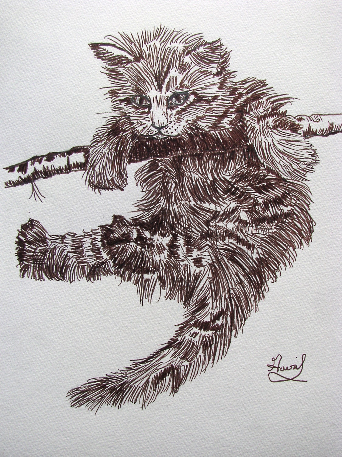 Original Pen and Ink Drawing of Kitten Hanging onTree Branch