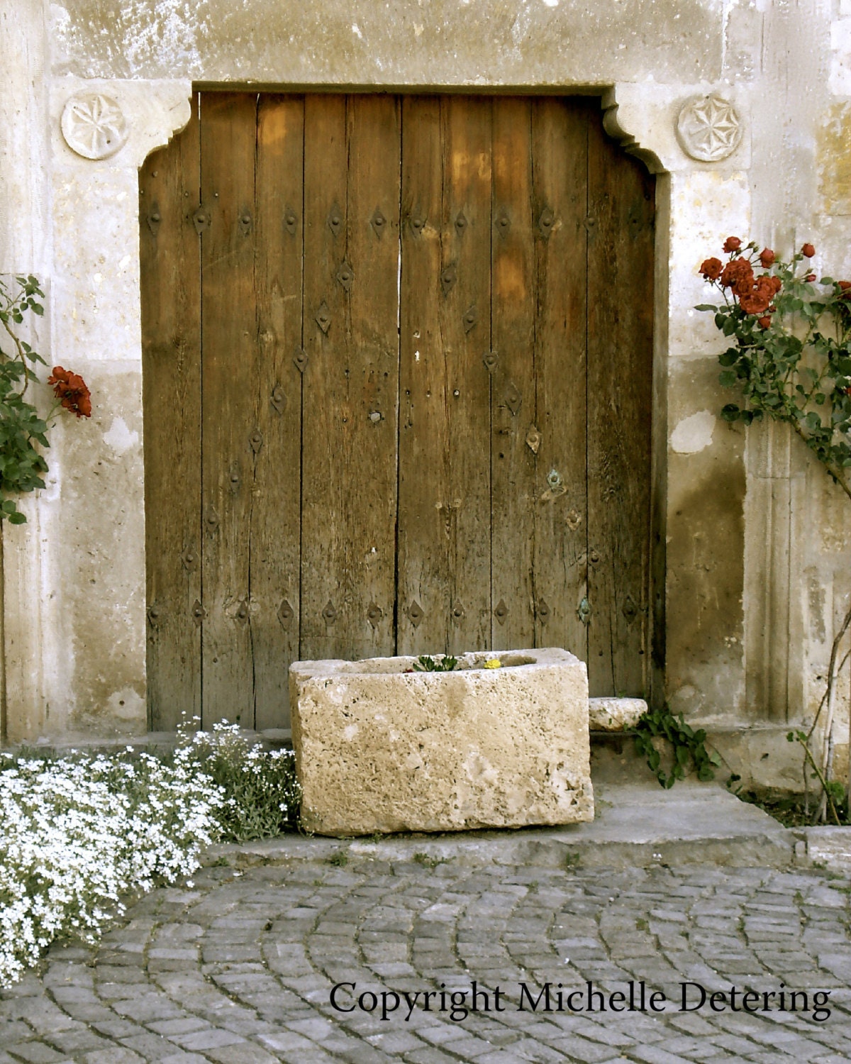 Turkish Door with Roses Digital Photography Door Art Door