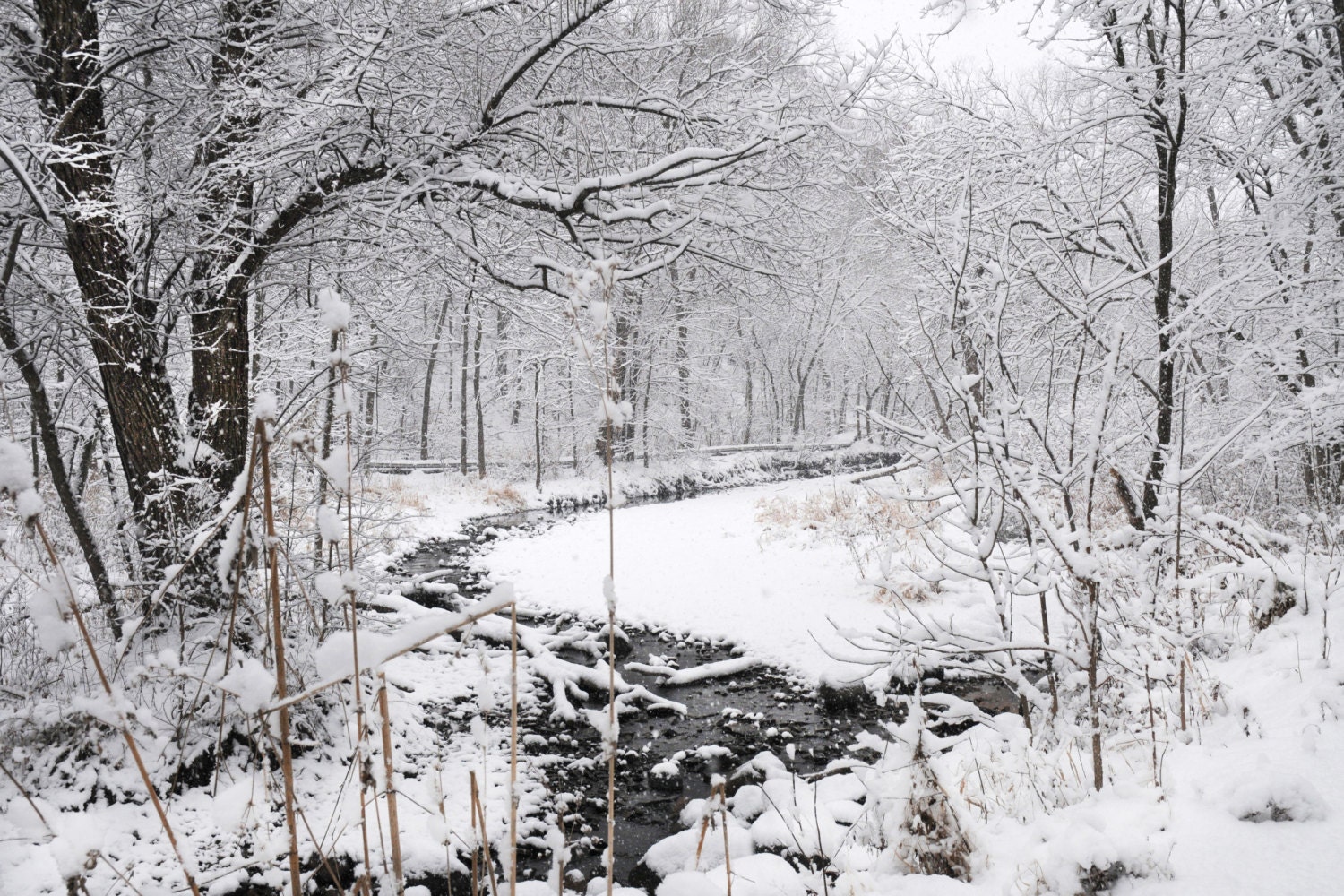 Minnesota Winter landscape photography. by AlenovPhotography