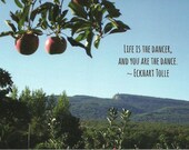 Apple View Postcard