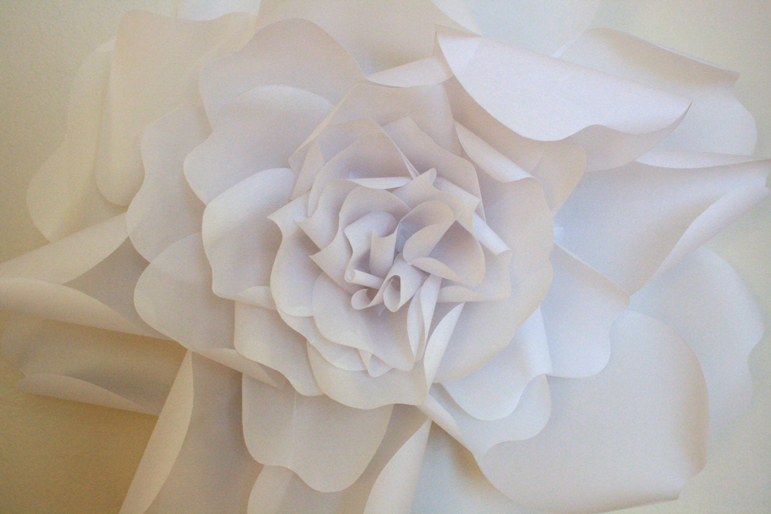 Paper Flower: Translucent White Paper Garden Rose 19