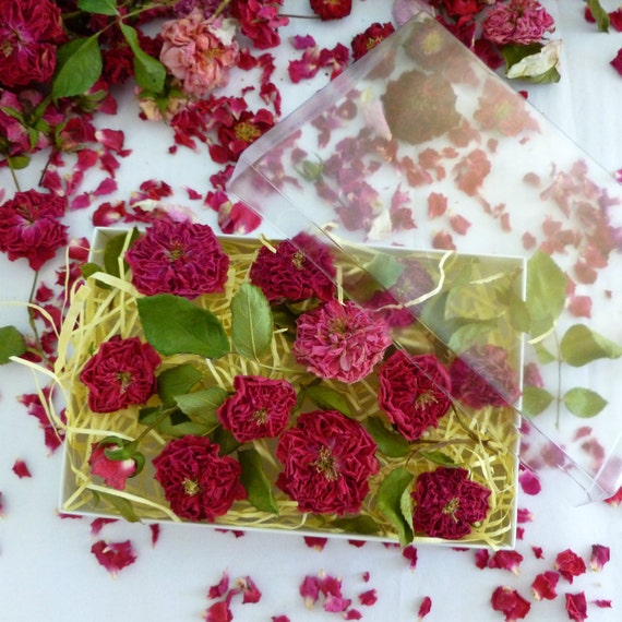 Dried Roses Dry Flowers Gift Rose Gift Box Hostess by LarkspurHill