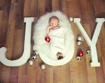 Instant Download Photography Prop DIGITAL BACKDROP for Photographers - Christmas Holiday JOY - Digital Background