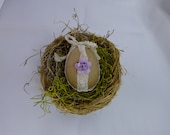 Spring Bird Nest