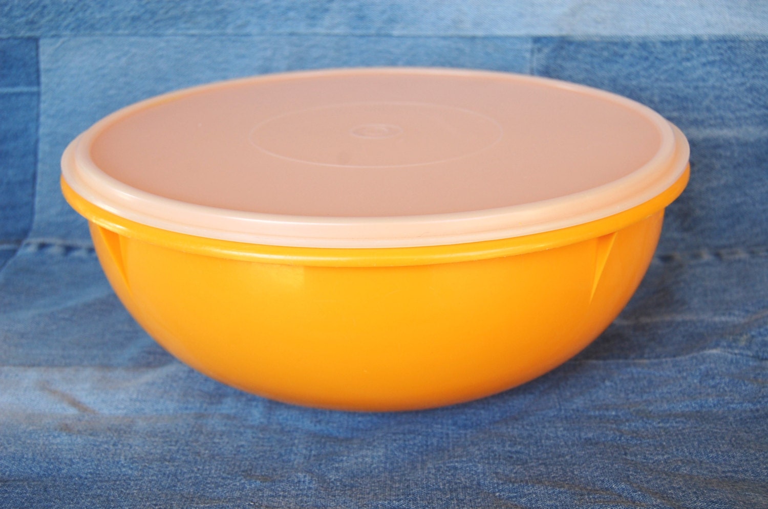 Tupperware Bowl Large Inch Fix N Mix My XXX Hot Girl