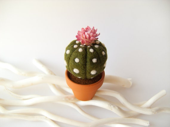 Cactus Plant Home Decor Gift Needle Felted Green by felttess