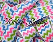 Pinch me hot pink, blue & green glitter chevron on 7/8 grosgrain ribbon- St Patricks day Il_170x135