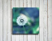 Summer Dandelion - Blue and Green decor - Dandelion decor - Dandelion canvas - Dandelion art - Blue art - Blue and green art