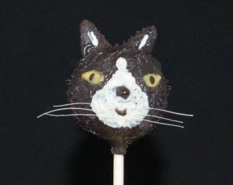 CAT CAKE POPS, Cake Pops, Birthday Favors, Party Favors