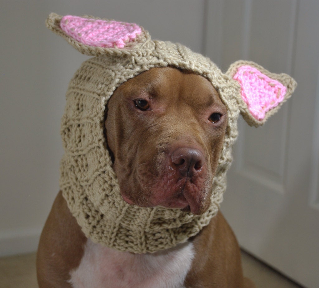 Dog Ear Warmer Crochet Tan Rabbit MADE TO ORDER