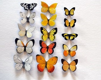 Butterfly Magnets Set of 15 Insects Refrigerator Magnets Kitchen Decor Bedroom Decor