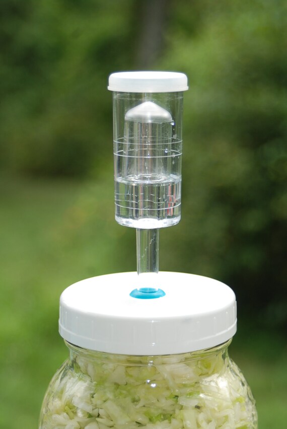 1 Fermentation Jar Lid with Food Grade Silicone Grommets