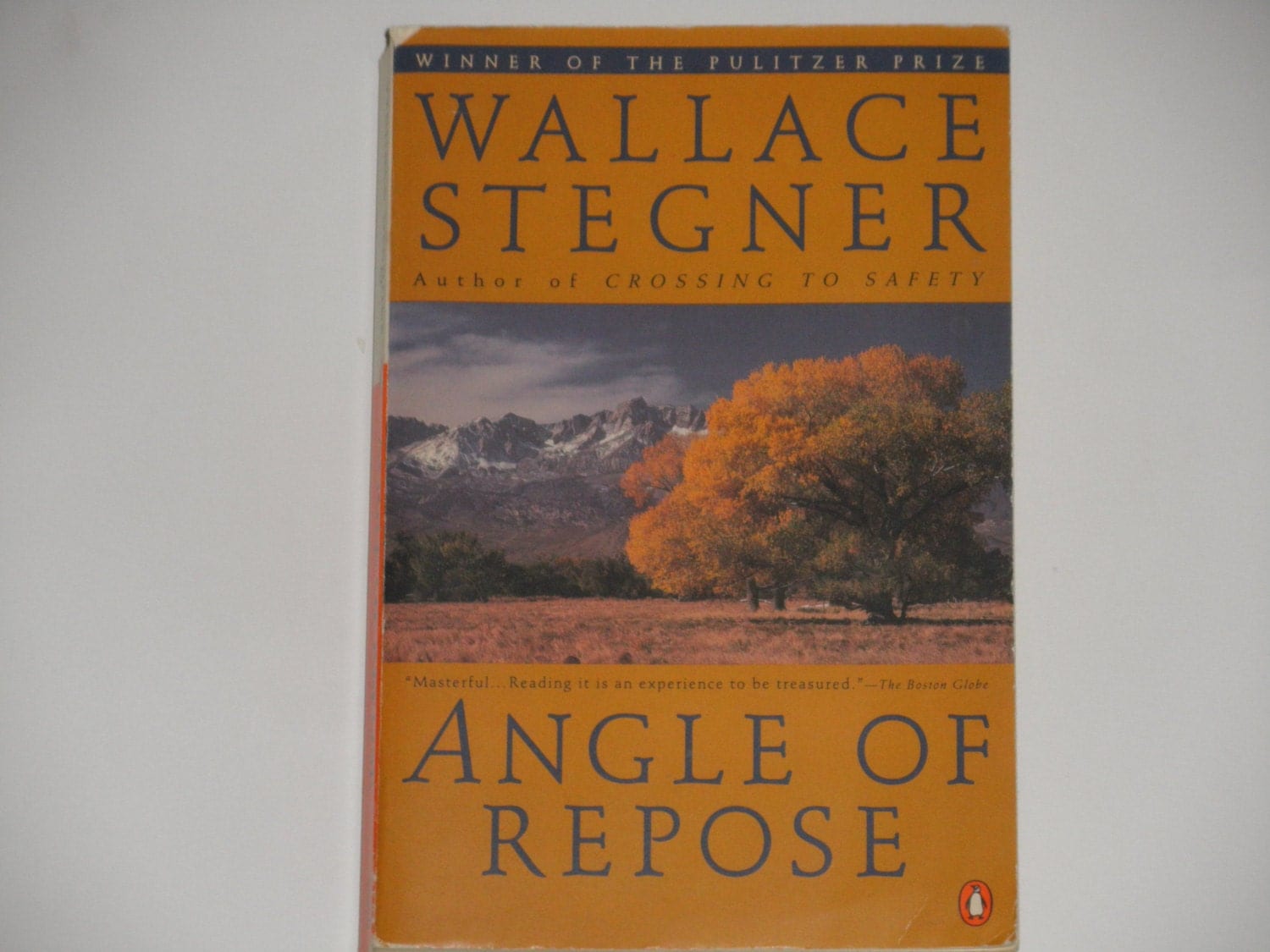 Wallace Stegner Angle of Repose Penguin by notesfromtheattic