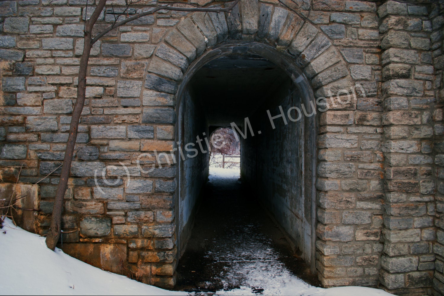 Winter Tunnel Photo Printable Photo Nature by ChristiesCamera