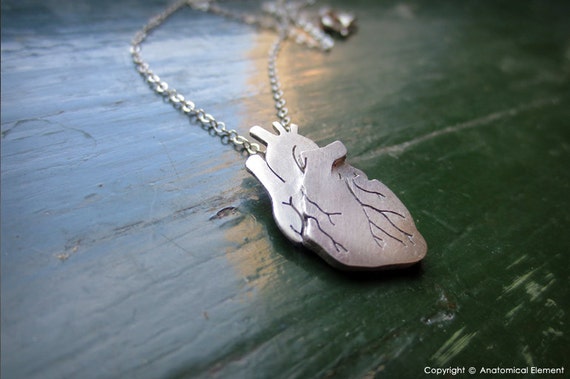 Itty-Bitty Body Parts - Anatomical Heart!