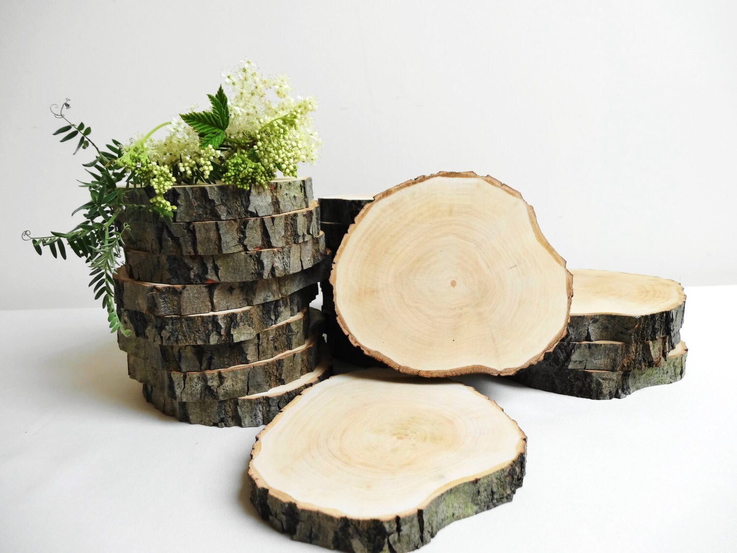 54 Wood Slices Bark Wood Slices Tree Slices by DaliasWoodland