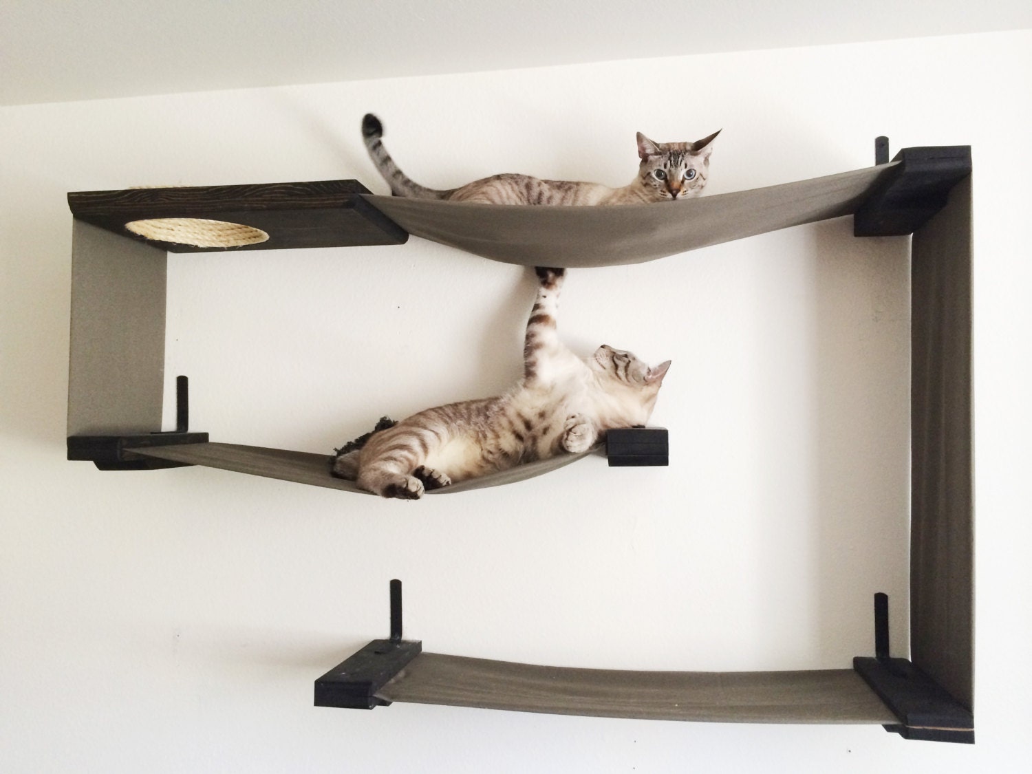 Fabric Cat Maze Cat Hammock Shelves by CatastrophiCreations