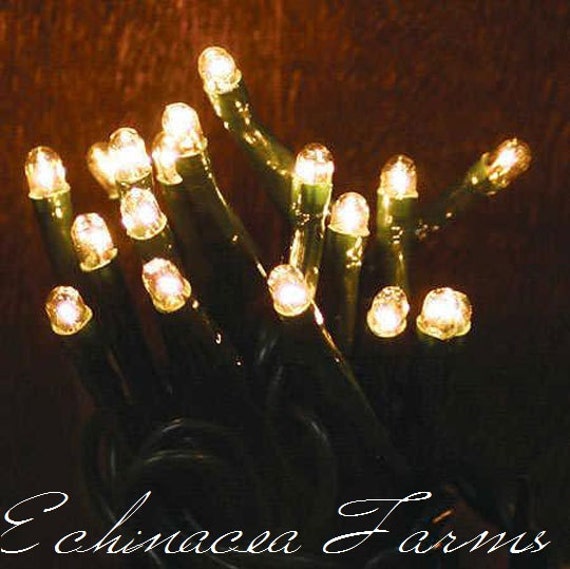 35 count rice lights primitive country cottage by 35 count rice lights primitive country cottage by